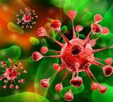 Infekci adenovirem: léčba, příznaky, prevence