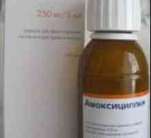 Amoxicillin na žaludeční vředy