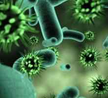 Bakteriální infekce
