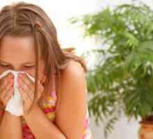 Bakterie příčinou onemocnění dýchacích cest