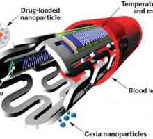 E biologicky vstřebatelný stent s nanočásticemi