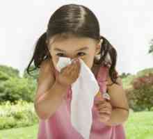 Astma u dětí, příznaky, příčiny, léčba