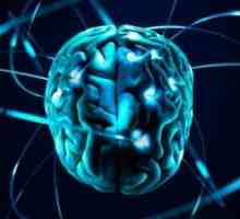 Demyelinizační onemocnění nervového systému: příznaky, léčba, příčiny