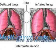 Kapacita respiračního membrány. Difúzní kapacity pro kyslík