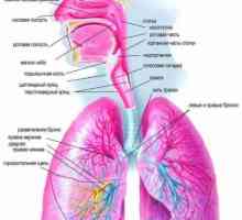Diagnóza a diferenciální diagnóza pneumonie