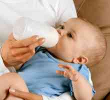 Forma a funkce kojenecké výživy: prášky, koncentráty a připravené k použití směsi