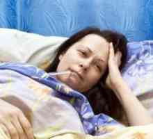 Hemoragické horečky s renálním syndromem: prevence, léčba, symptomy