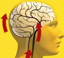 Hypertenzní encefalopatie: příznaky, léčba
