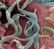 Worms u dítěte ve věku 2 let, příznaky a léčbu červů u dětí 2 roky