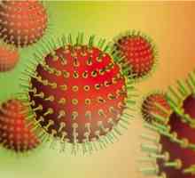 Chlamydia: léčba, příznaky, příčiny, příznaky