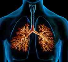 Chronická bronchitida, léčba, příznaky, příznaky, příčiny, prevence, diagnostika