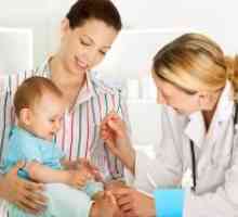Infekční erytém u dětí: léčba, příčiny, příznaky, příznaky
