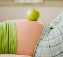 Změna genitálií a mléčných žláz těhotná