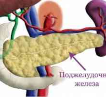 Exokrinní funkce pankreatu