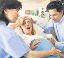 Endokrinní kontrola porodu