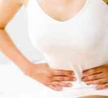 Endometritida, léčba, příznaky, znaky, příčiny