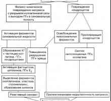 Etiologie a patogeneze osteoartrózy