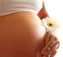 Jak se připravit na těhotenství