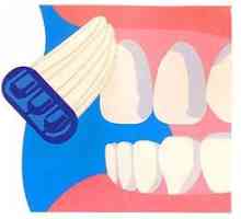 Jak čistit zuby s kartáčkem