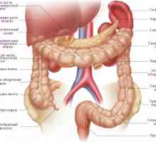 Střeva, slinivky břišní a dvanáctníku s pankreatitidou