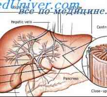 Cystická adenomatózní malformace plic. Příčiny plic vad u plodu