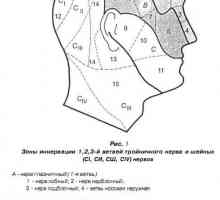 Klinická anatomie maxilofaciální oblasti