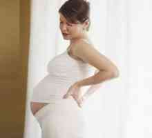 Zarděnky v těhotenství, během těhotenství: příznaky, znaky, léčba, příčiny, následky