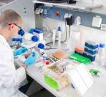 Laboratorní a pomocný výzkum v urologické