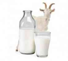 Léčba gastritidy s kozím mlékem