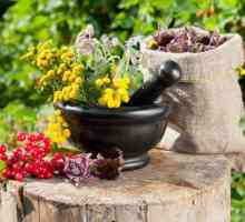 Gastritidu zacházení bylinný bylinné medicíny