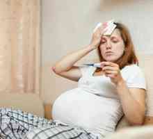 Červi léčby u těhotných žen, co dělat s hlístů?