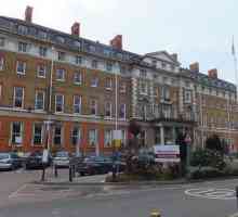 Ošetření v nemocnici Anglie Kings College v Londýně