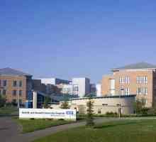 Léčba v Anglii Fakultní nemocnice v Norfolku a Norwichi
