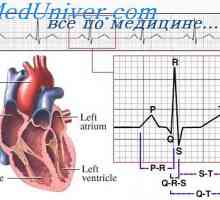 Distribuce elektrického proudu kolem srdce. EKG celého srdce