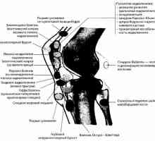 Záření a instrumentální diagnóza kolenního kloubu patologie