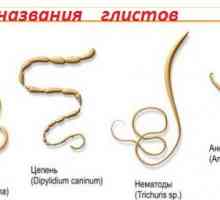 Lékařský vědecký název červů (helmintů), jak se jim říká v lidech?