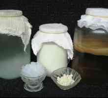 Mléko houba pankreatitida