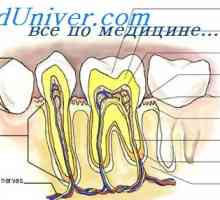Minerální metabolismus v zubech. zubní patologie