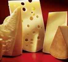 Můžu jíst sýr pro žaludku?