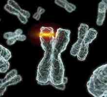 Mutace, které vedou k dědičných chorob u lidí