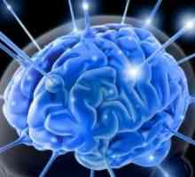 Gliových systém mozek