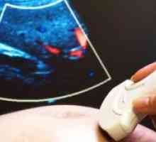 Je ultrazvuk nebezpečný?