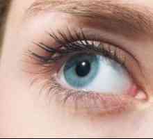 Optický systém lidského oka a jeho změny související s věkem