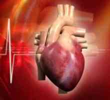 Nádory srdce: benigní a maligní, léčba, příznaky, příčiny, příznaky, klasifikace, typy