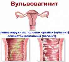 Pinworms v pochvě, genitálie, dělohy, pochvy enterobiosis