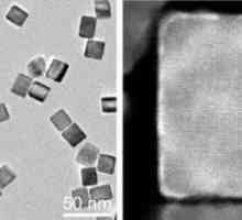Palladium, iridium nanočástice detekovat psa