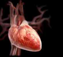 Patologie srdečních chlopní v průběhu těhotenství