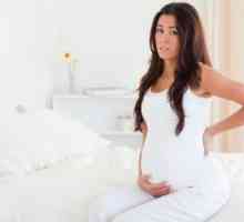 Pyelonefritida (gestační, chronická) během těhotenství, léčba, příznaky, znaky, příčiny