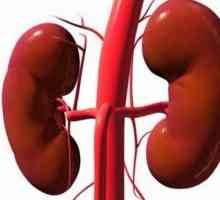 Slinivky břišní a ledvin pankreatitida