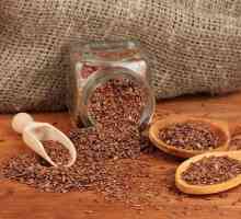 Použití lněného semene v léčbě gastritidy odvaru, pití, jak k pití?